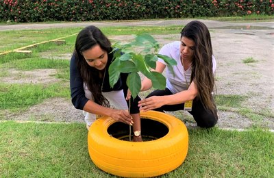 Uninassau planta mudas de ipê em alusão ao Dia da Terra