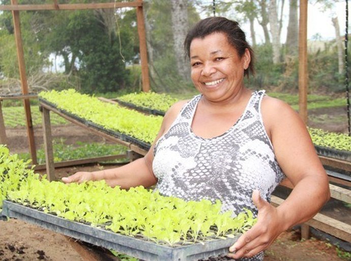 Economia solidária e empreendedorismo são ações a serem ampliadas em AL