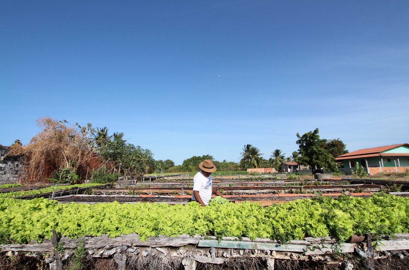 Crédito fundiário do BNB cresce 219% e possibilita que mais de 800 famílias adquiram imóveis rurais