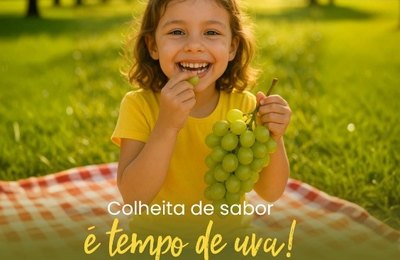 IFPA oferece ao varejo campanha de sazonalidade da uva para estimular consumo em Alagoas