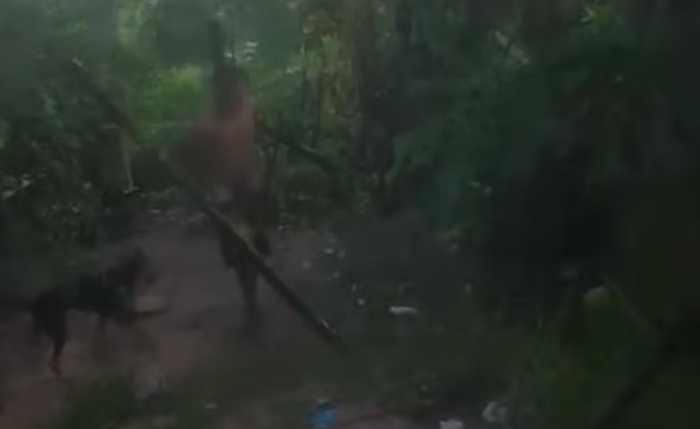 Homem foi filmado fazendo sexo com cachorro em Maceió