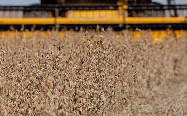 Conab eleva previsão da safra 2025/26 para recorde de 358,64 milhões de toneladas