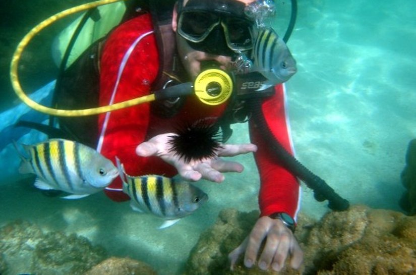 Destino Alagoas está entre os mais procurados em agências de viagens