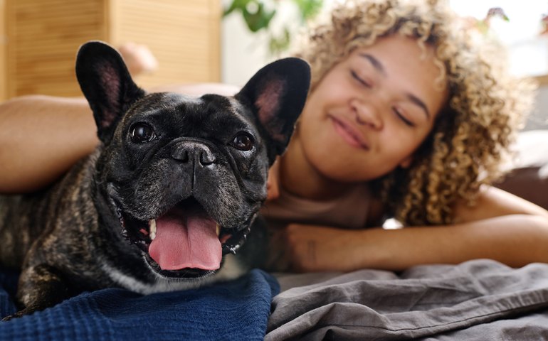 Mercado pet em crescimento: Brasil é o 3º país com mais pets