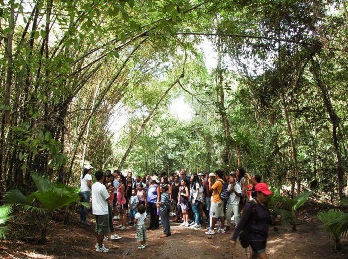 Natal e fim de ano: Sempma informa que Parque Municipal estará fechado