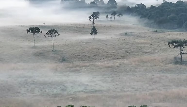 Massa de ar frio derruba temperaturas no Sul do país