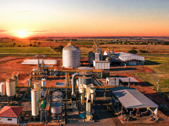 Better Beef produz carne premium em modelo verticalizado de autossuficiência energética e agricultura regenerativa