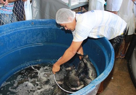 Feira do Peixe Vivo aproxima consumidores e produtores de pescado