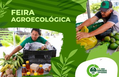 TJAL promove feira agroecológica nesta terça (21) com oficinas de aproveitamento de alimentos