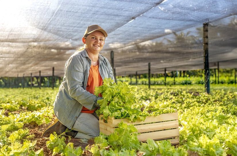 Financiamento para mulheres ganha protagonismo no Agroamigo do BNB