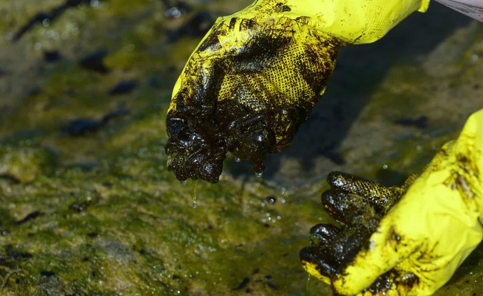 Pela primeira vez desde o acidente, cientistas conseguem observar o óleo no mar