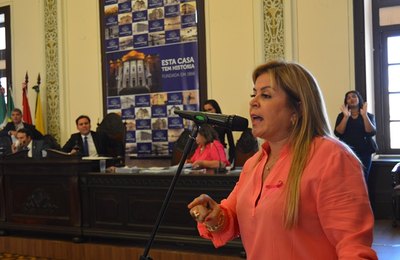 Câmara aprova nova lei e retirada de “food trucks” deve ser vedada 