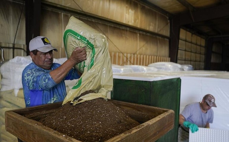 Governo dos EUA reconhece que atual política de imigração pode causar aumento de preços
