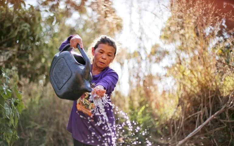 COP30: Governo do Brasil lança Marco de Sistemas Alimentares e Clima para as Políticas Públicas