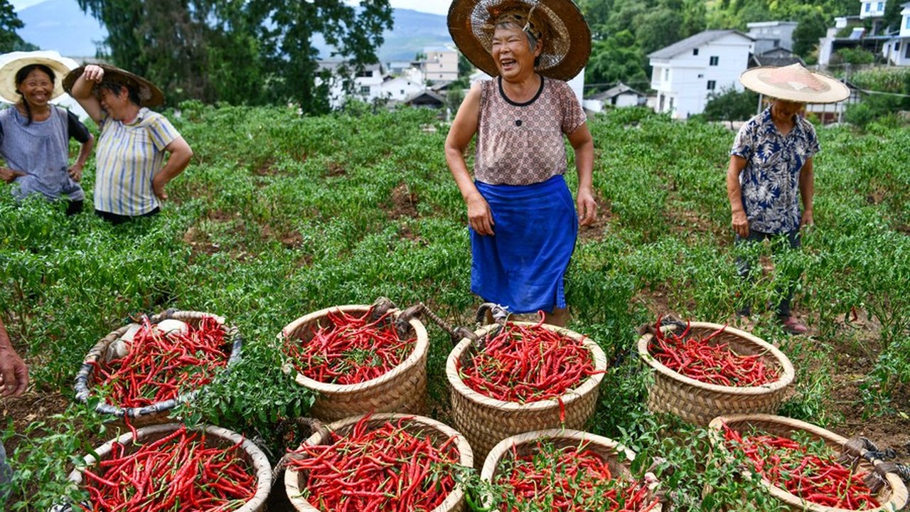 Na China rural, mulheres se unem contra séculos de tradição e exigem os mesmos direitos concedidos aos homens