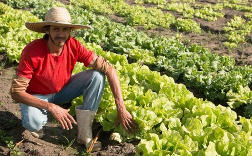 Governo muda cenário alagoano com ações de interiorização e desenvolvimento