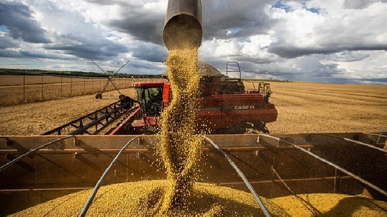 Agro deve manter dinamismo da balança comercial, apesar de queda nos preços, mostra Icomex