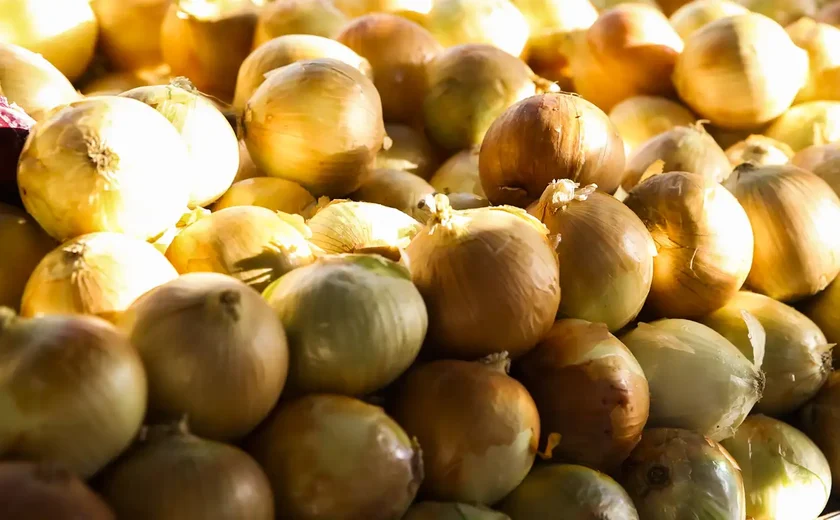 Preços da cebola e do tomate sobem nos mercados atacadistas em novembro, aponta Conab