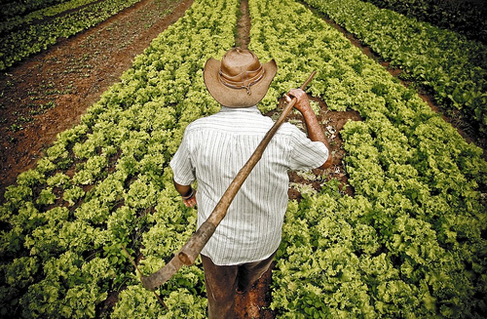 agricultor