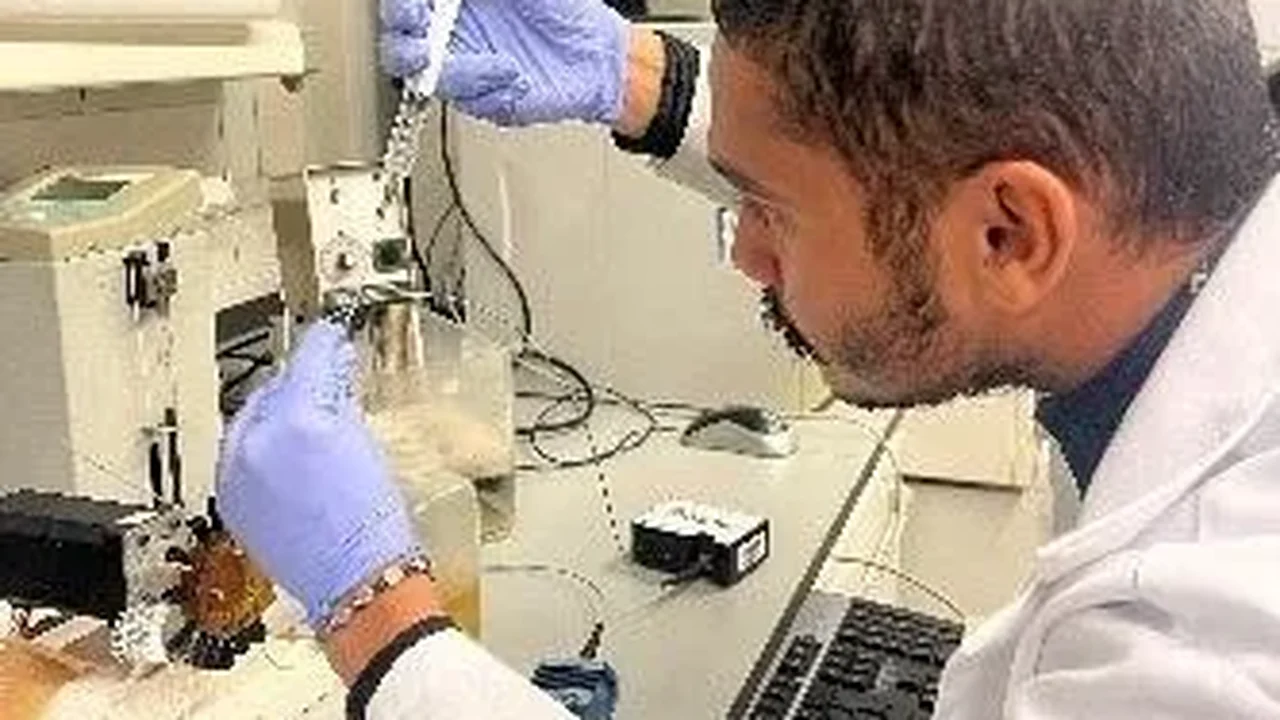 Resultados de pesquisa da Ufal rendem cinco patentes para agricultura e saúde