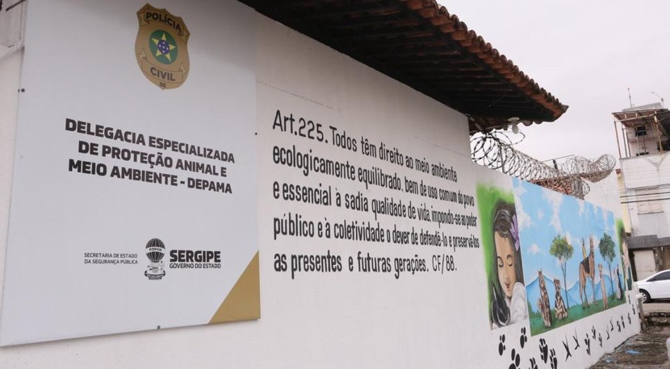 depama4-2 / Foto: Foto: SSP/SE