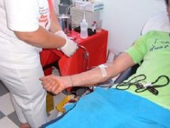Doar sangue