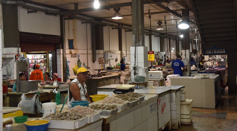 resfriamento de pescados