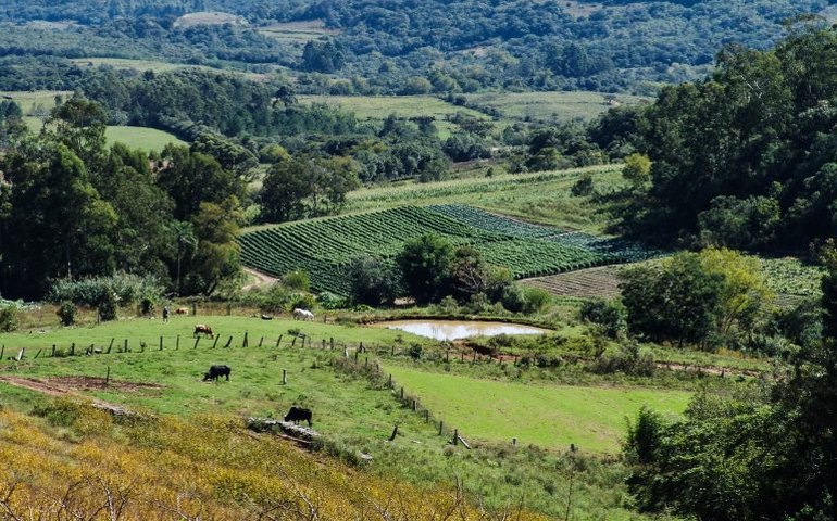 Comissão de Agricultura debate regulamentação da política de pagamento por serviços ambientais