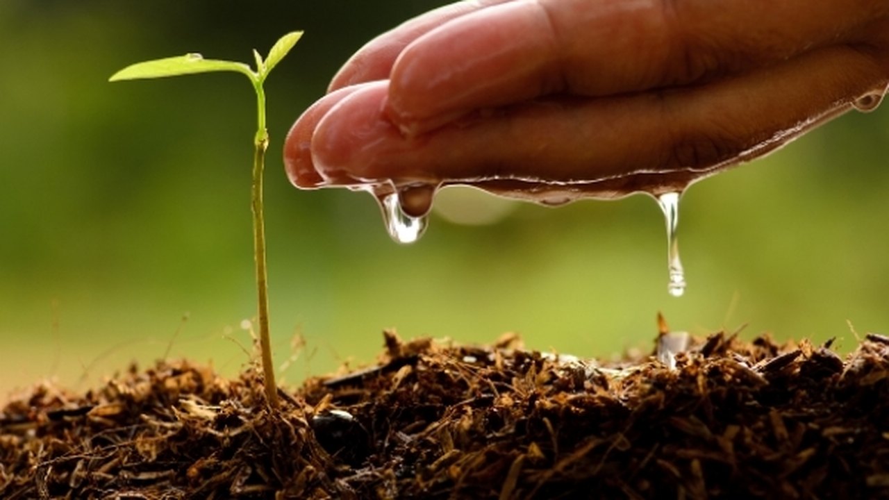 Secretários de Agricultura do NE discutem distribuição de recursos e apoio a cadeias produtivas