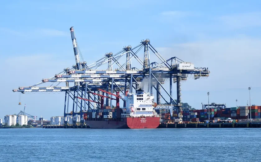 Brasil recebe aval da Tailândia para exportar noz pecã e da Austrália para DDG