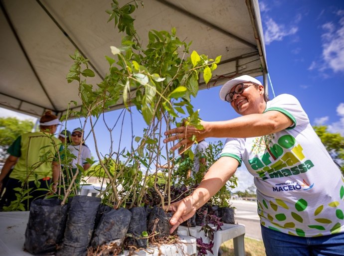 Mirante da Santa Amélia receberá quarta etapa do projeto Arborizar é Massa