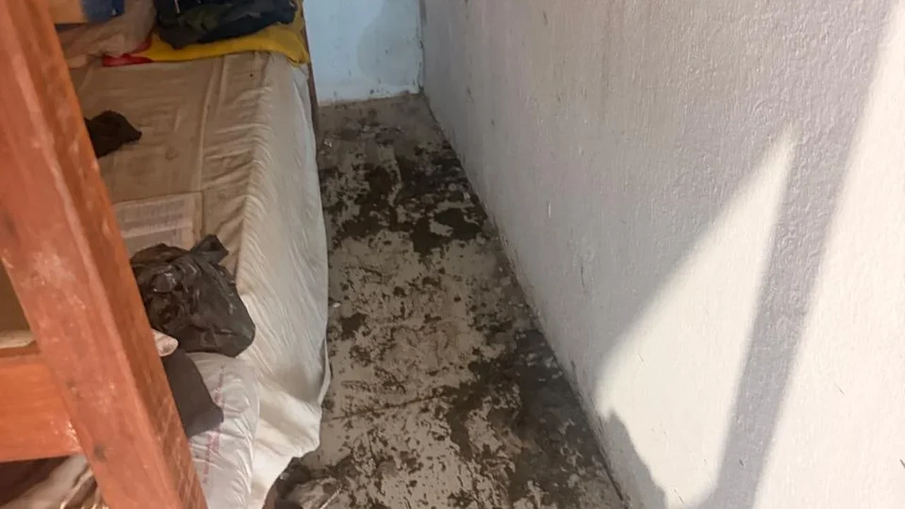 MPAL constata maus-tratos em clínica de reabilitação durante ação em Anadia