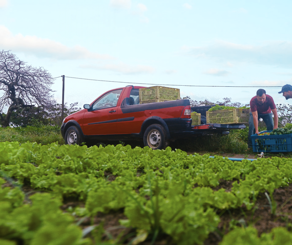 Alagoas sedia reunião da Câmara Temática da Agricultura Familiar do Consórcio Nordeste