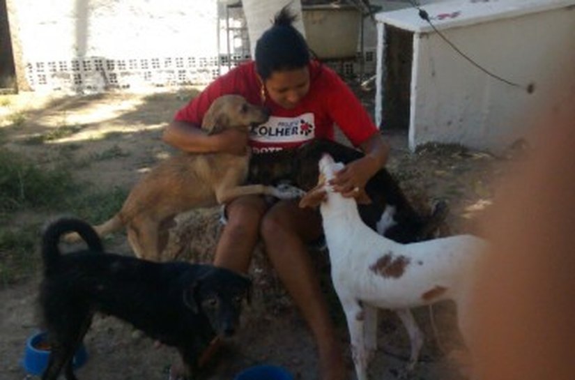 CCZ acolhe animais encontrados em reintegração de posse