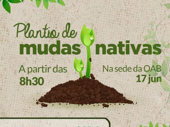 OAB Alagoas realiza plantio de árvores nativas de Mata Atlântica na sua sede