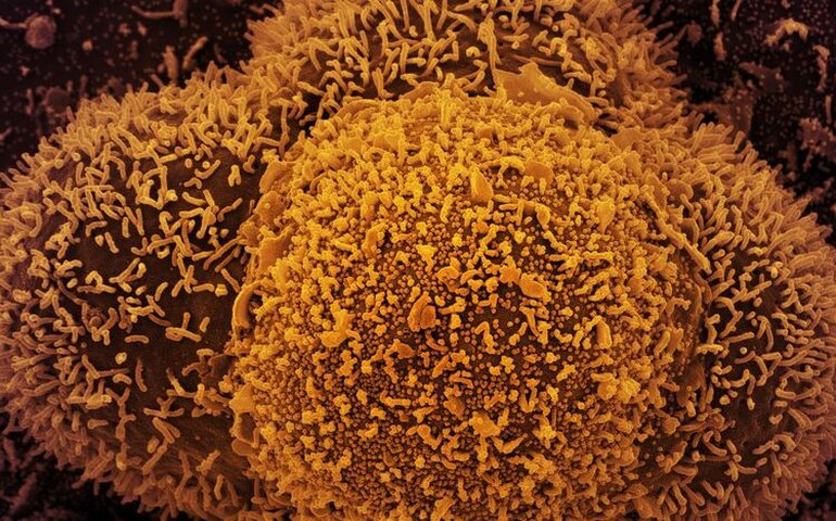 Covid-19 ofuscará comemorações de Ano-Novo no mundo