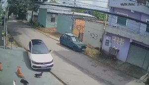 Homem atropela cachorros e foge. Fonte: Internet