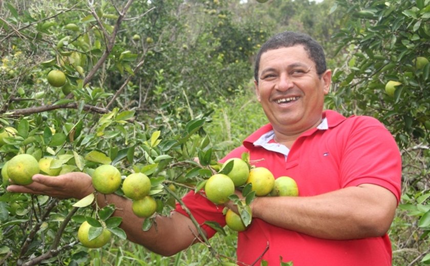 Mais do que manejo, programa do Sistema FAEAL/SENAR quer preparar produtor alagoano para gerir a propriedade