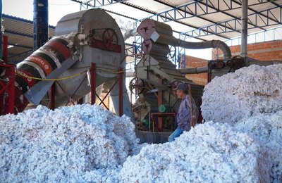 Transnordestina reduzirá custos e abrirá novos mercados para produtores do Cariri