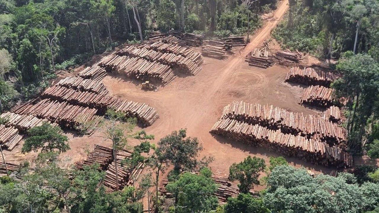 Mega operação na Amazônia apreende milhares de caminhões com madeira e fecha várias serrarias