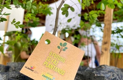 Semarh fará doação de mudas de árvores nativas à população todos os meses em shopping da capital 