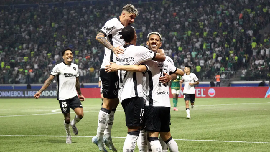 Botafogo segura empate com Palmeiras e avança na Copa Libertadores