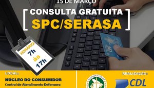 CONSULTA SERASA E SPC
