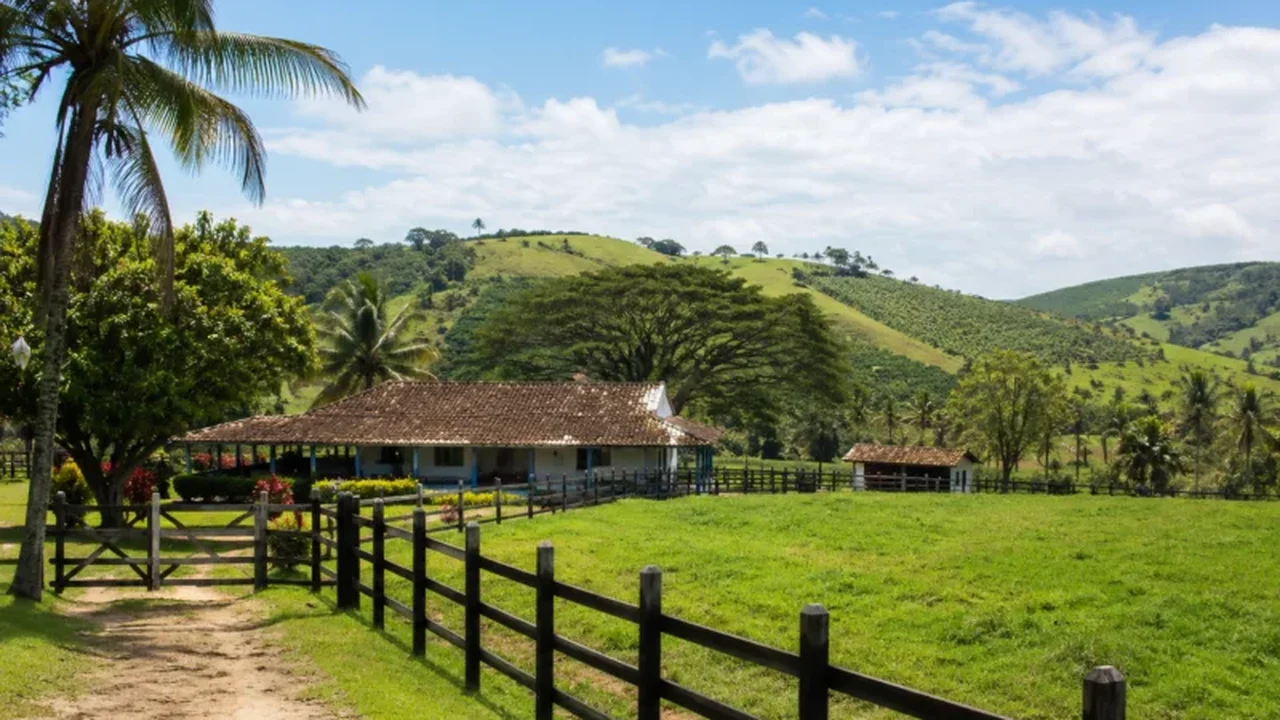 Prazo para declaração do ITR termina em 30 de setembro e Faeal orienta produtores de Alagoas proprietários de imóveis rurais