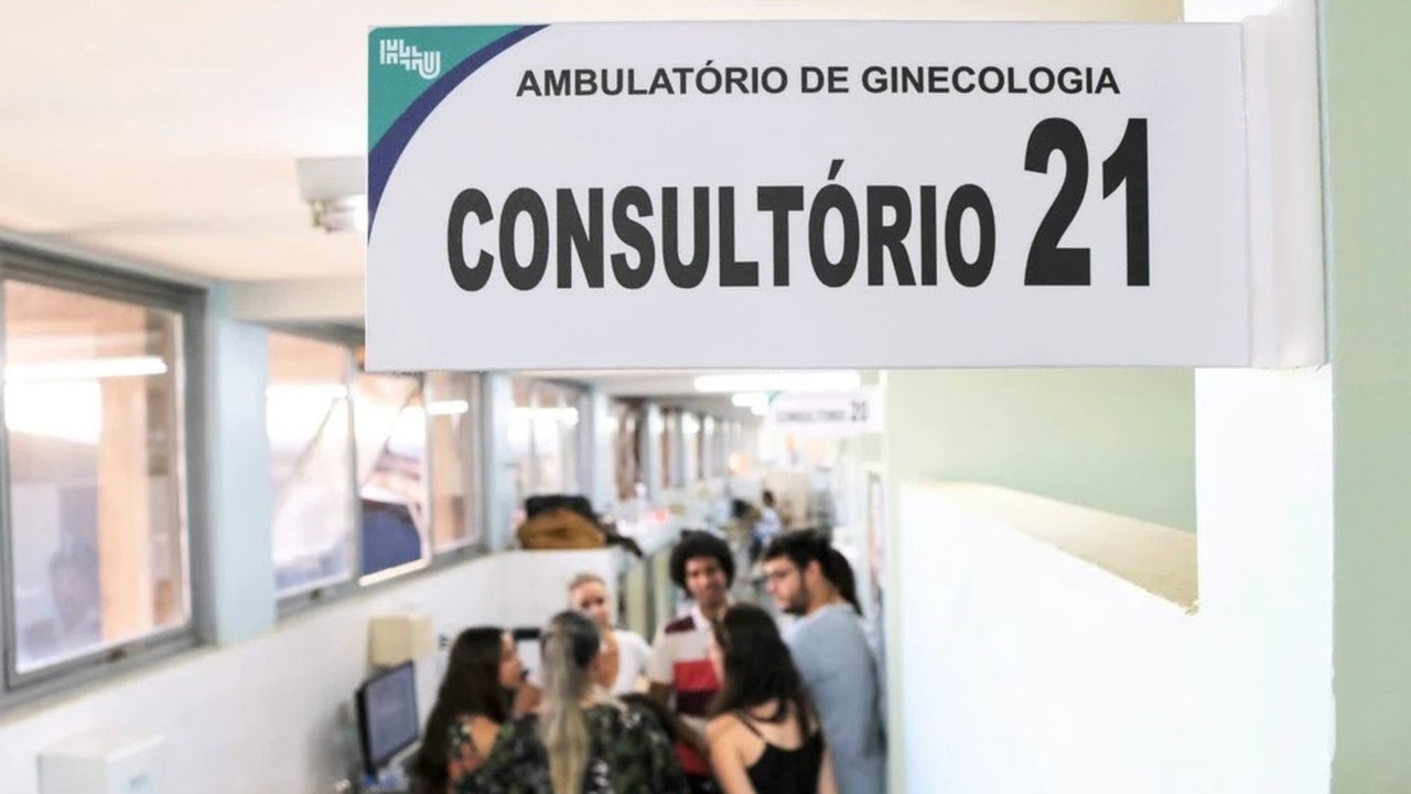 A ofensiva contra a médica que criou o serviço de aborto legal por telemedicina