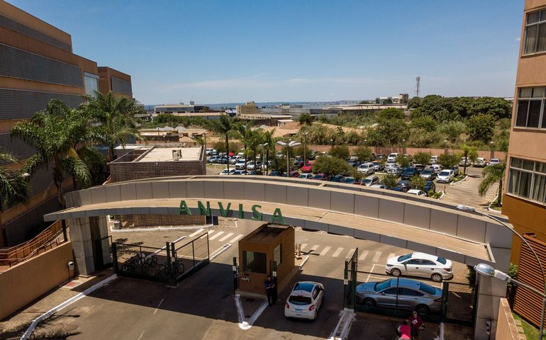 Anvisa proíbe venda de produtos de cannabis e cogumelos