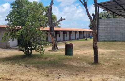 Equatorial contribui com ação da Polícia Militar de combate ao furto de energia em haras na cidade de Marechal Deodoro 