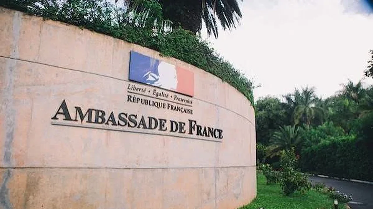 Fernanda Murad Machado vence Prêmio de Tradução da Embaixada da França com obra de Amadou Hampâté Bâ