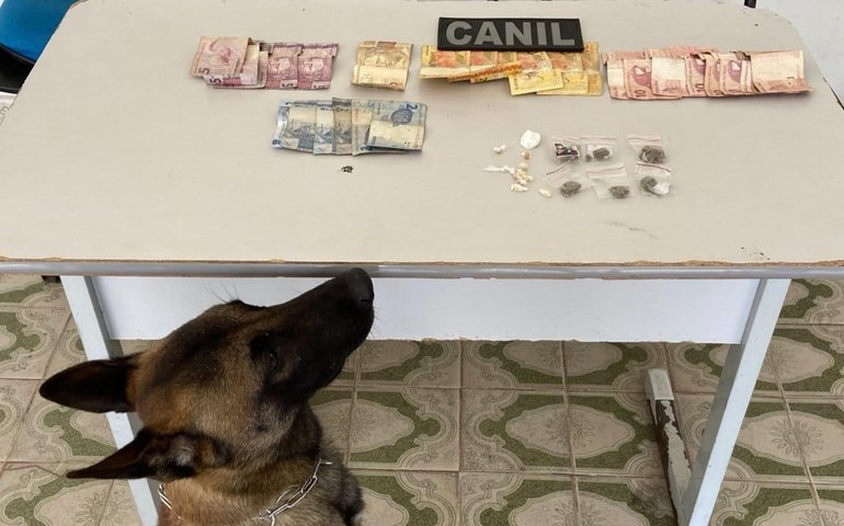 Abordagem com cão da PM em Arapiraca resulta em prisão por tráfico de drogas