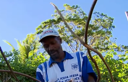 População indígena e quilombola é mais jovem que a média do país